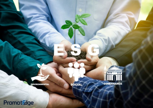 ESG Report Consultant
