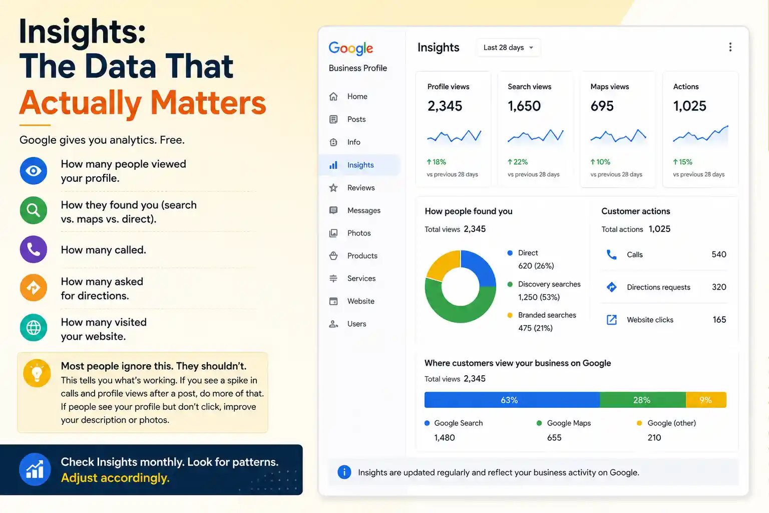 Google Business Insights Data